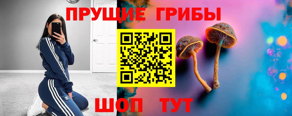 Псилоцибиновые грибы ЛСД Кызыл